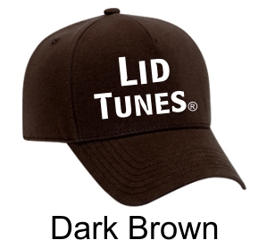 Lid Tunes Dark Brown Hat